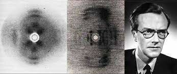 Descubrimiento: el ADN tiene una estructura periódica regular