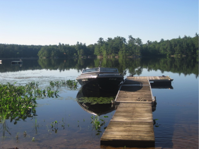 Mi Lago Todos Veranos