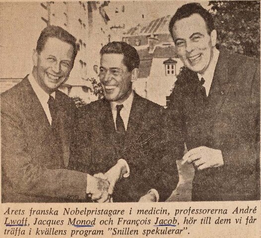 Descubrimiento: información de ferries de ARN