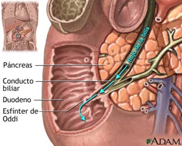 PATOLOGÍA DE LA VESÍCULA BILIAR    Colecistitis Crónica