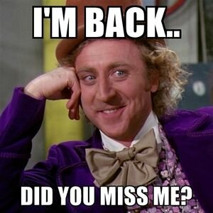 Luther returns to Wittenberg