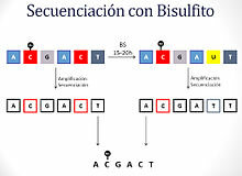 Descubrimiento: secuenciación de ADN