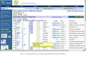 Descubrimiento: Base de datos GenBank formada