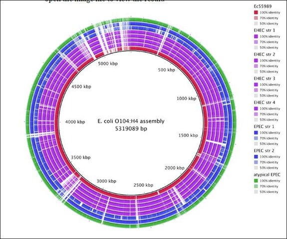 Descubrimiento: secuenciación del genoma de E. coli