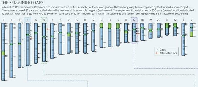 Descubrimiento: Borrador de trabajo del genoma humano completado