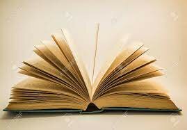 LA CRONICA EN AMERICA