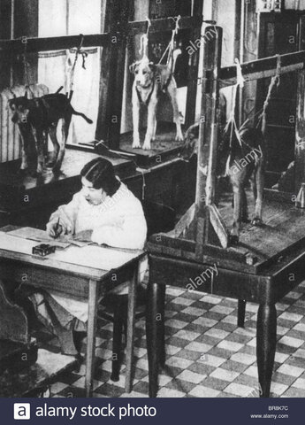 Inicios de un laboratorio propio