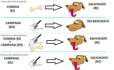 Condicionamiento Clasico
