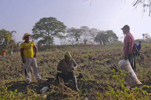 DECRETO 2363 DE 2015