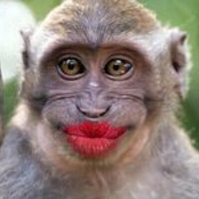 Timeline: Prehistoria