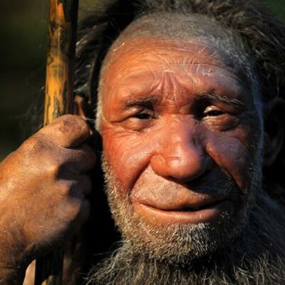 Timeline: PREHISTÒRIA