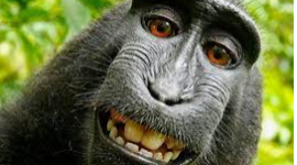 Timeline: Prehistoria