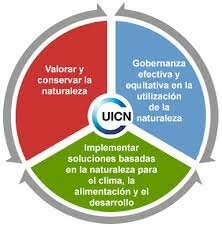 Se crea la Unión Internacional para la Conservación de la Naturaleza (UICN)