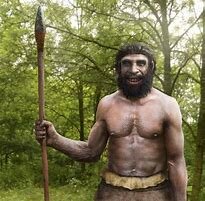 homo neanderthalensis