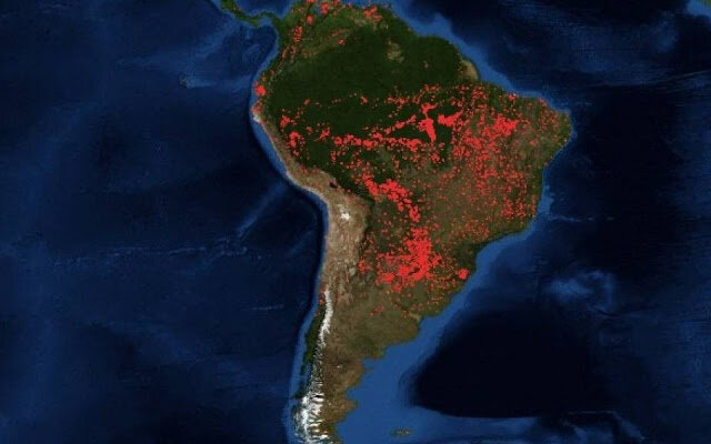 Arde el Amazonas