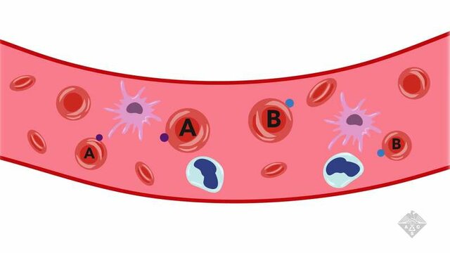 Blood groups