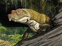 Reptiles and giant fern forests