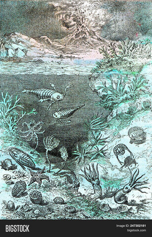 Calentamiento global