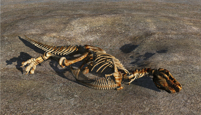 Extinction of dinosaurs and ammonites