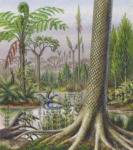 Carboniferous