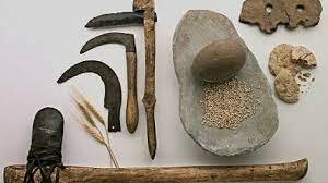 WEB. EVOLUCION ANTES DE LA ERA CRISTIANA Y 1960