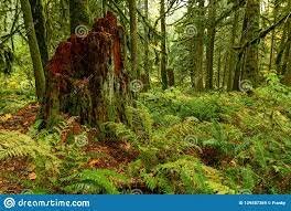 Hunting takes a new turn