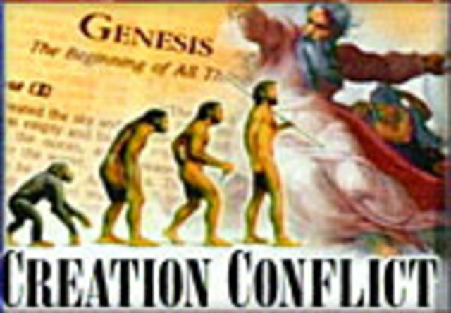 Strand 4 Education - Evolution