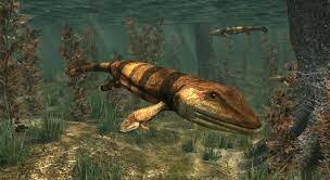 El primer pescado en caminar