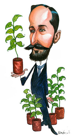 Los pioneros del siglo XX en arboricultura