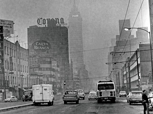 3 ra etapa de apropiación del entorno. La crisis ambiental