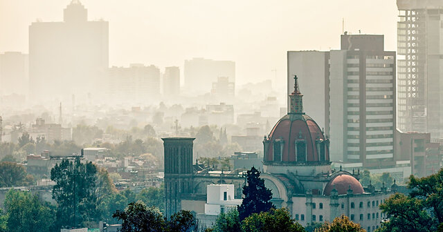 El arbolado urbano como mitigador de la contaminación 1970-1990