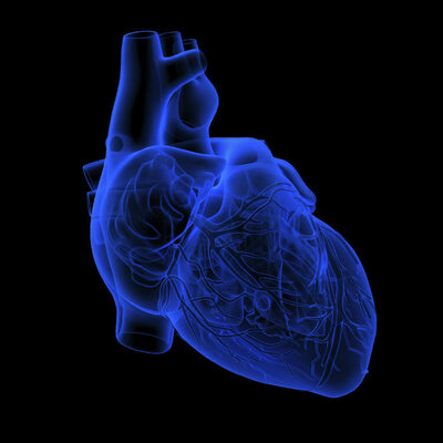 Timeline: LInea de tiempo informatica