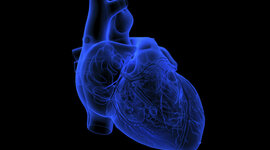 Timeline: LInea de tiempo informatica