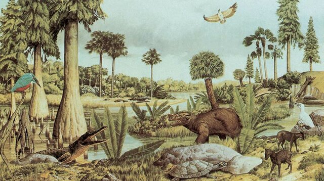 aparició dels mamífers