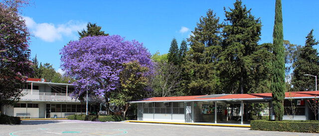 Ingreso a la primaria