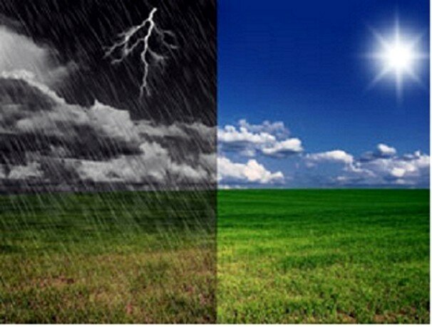 Comprensión de los ciclos de la naturaleza