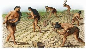 Ensayos de formas de cultivo