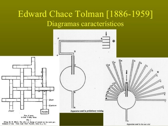 Experimento Watson y su ayudante Rosalie Rayner (“el pequeño Albert”)