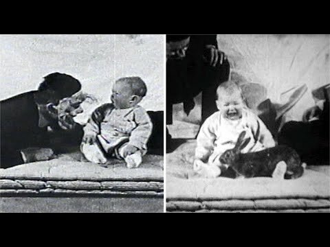 Conductismo propositivo de Tolman