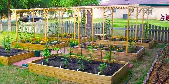 Instalar un pequeño huerto (si no tengo jardín, en macetas en el balcón).