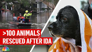 Zookeepers Keep Animals Safe