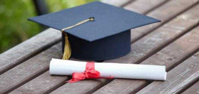 Obtener un título profesional universitario.