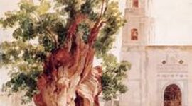 Timeline: La evolución del arbolado en el paisaje modificado. El caso de la Alcaldía Cuauhtémoc