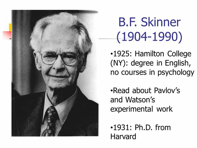 Skinner 1