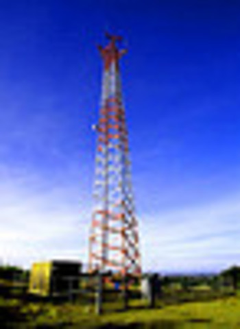 cells for mobile phones