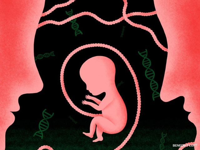 ENCUESTA MEXICANA DE FECUNDIDAD