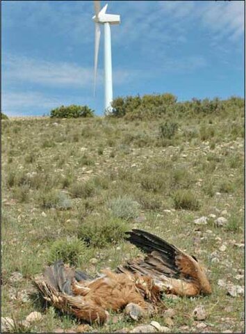 Problemas con los aerogeneradores