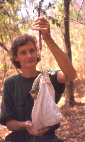 Dra. Katherine Renton