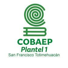 logre entrar al bachiller que elegí