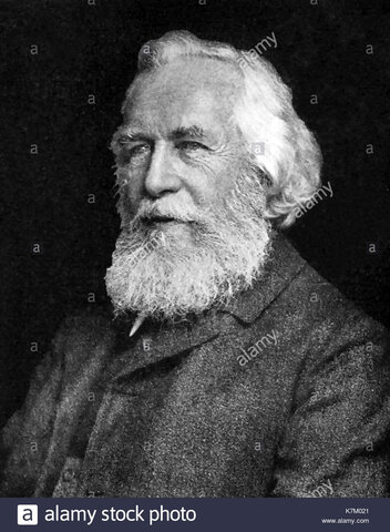 Ernst Haeckel